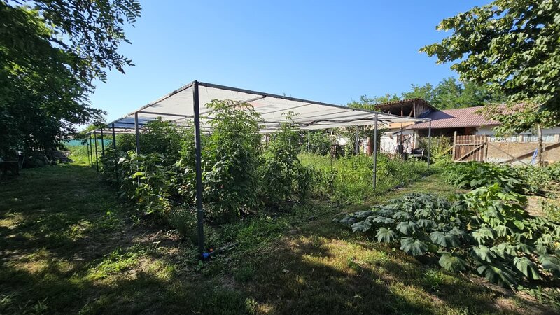 Munteni- Buzau, Casa 4 camere, 80 mp cu teren de 1.912 mp